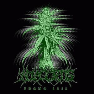 Amagortis : Promo 2012